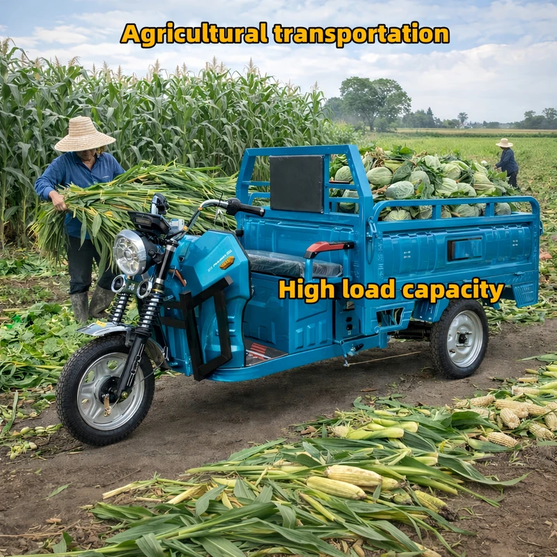 1.5m Cargo Electric Tricycle for Agriculture & Delivery Heavy Duty 3 Wheel Electric Cargo Bike