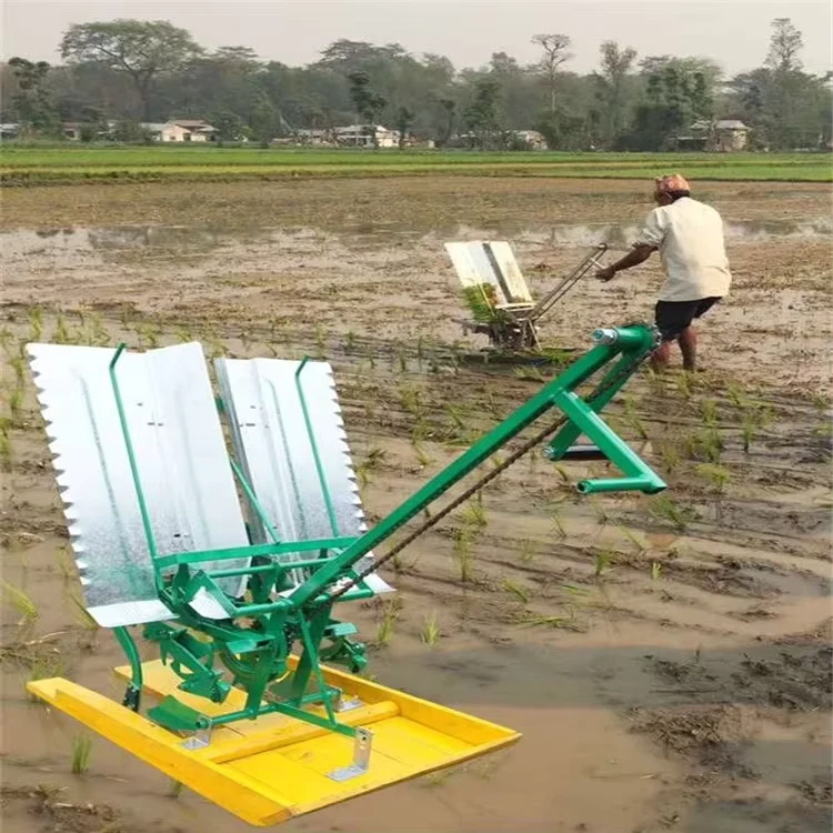Agricultural 2 Rows Manual Paddy Rice Transplanter