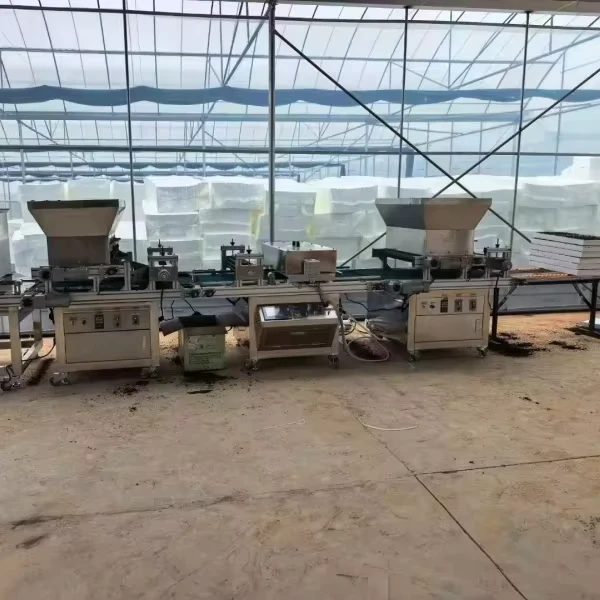 Automatic Electric Plug Seedling Machine Pepper Seed Tray Hole Sowing Drum Type Tray Seeder