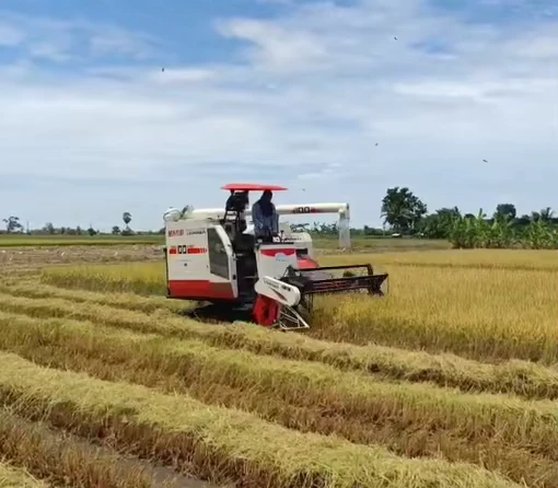 Automatic Grain Unloading Mini Combine Harvester 88hp Harvester 4LZ-2.5T Agricultural Tractor