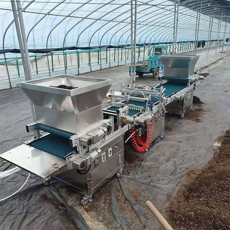 Automatic Seedling Tray Sowing Machine Vegetable Seedling Tray Seeder Tobacco Vacuum Roller Plug Tray Seeder