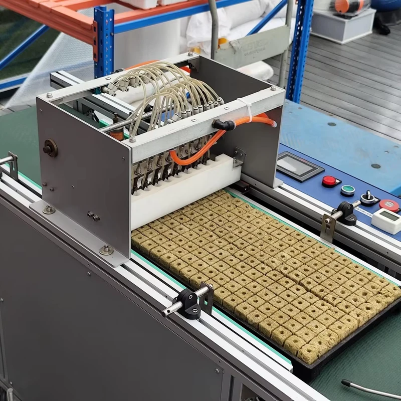 Automatic Vegetable Seeder Seed Sowing Machine Line for Seedling Tray Paddy Seed Nursery Sowing Machine Rice Seedling Machine
