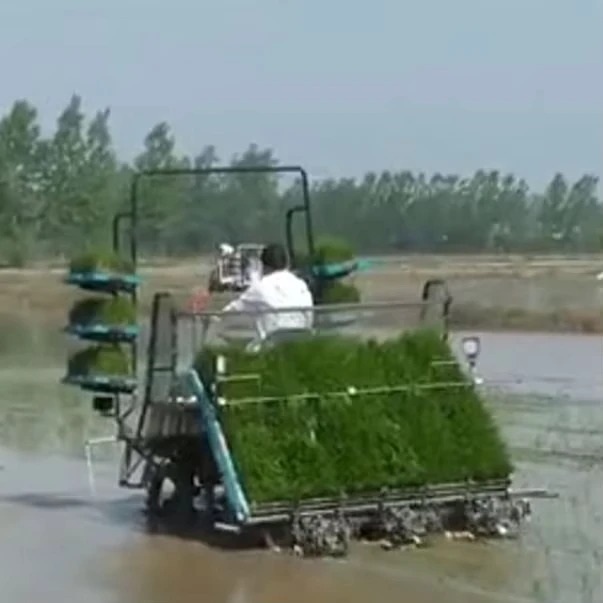 China Factory Self Propelled Rice Paddy Seedling Nursery Transplanter