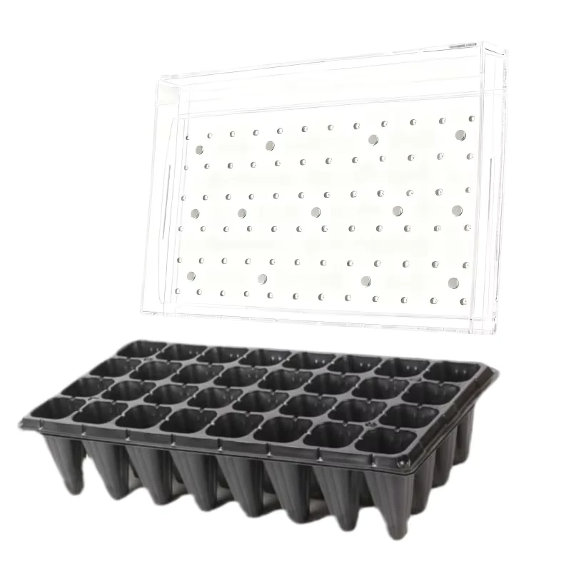 Cost Effective Plug Tray Seeder for Small and Medium Nurseries