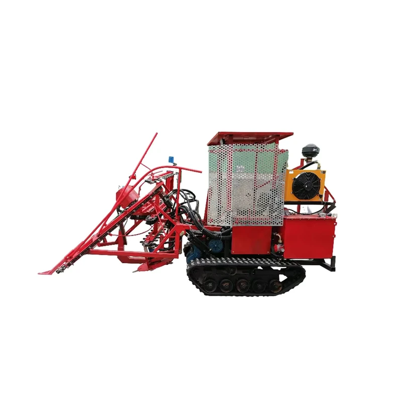 Crawler Type Leaf free Segmented Sugarcane Harvester Household Sugarcane Harvester