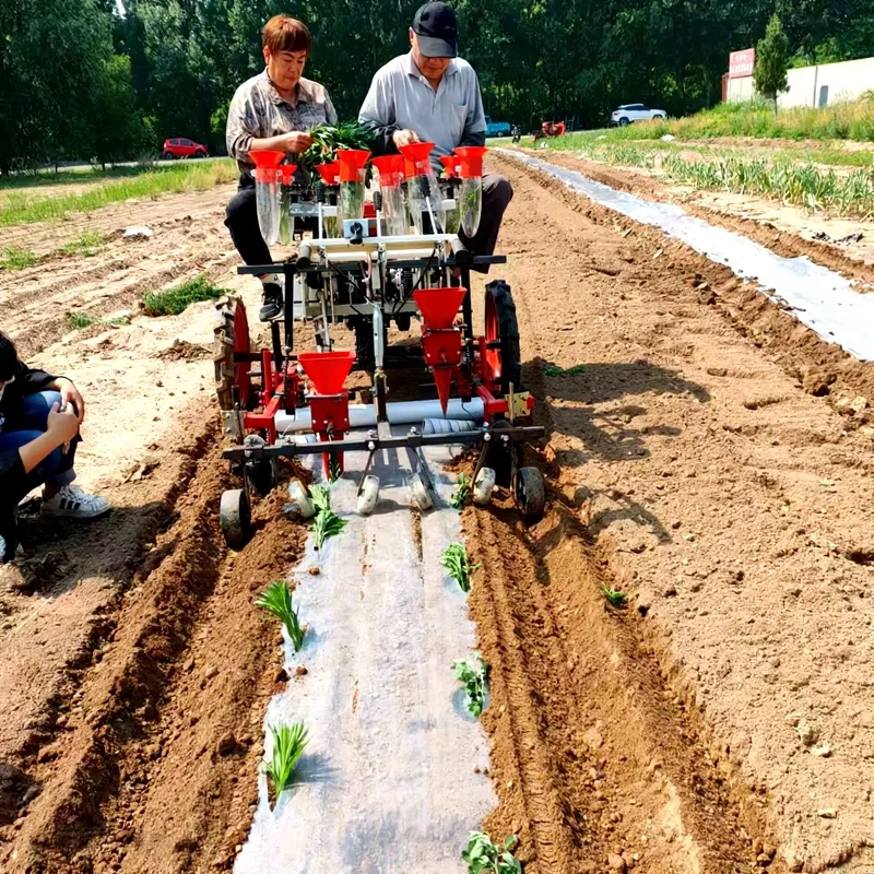 Diesel Engine Multi Functional Four Rows Vegetable Seedling Transplanter Suitable for Peppers Tomatoes and Leaf Greens