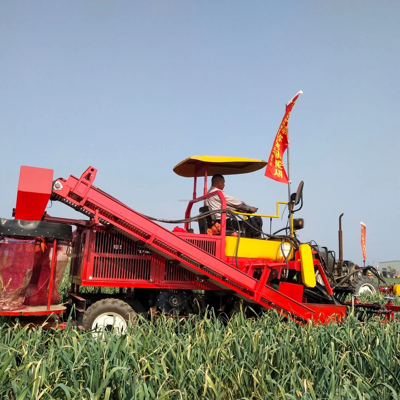 Double Rows Mini Tractor Mounted Onion Cassava Sweet Potato Murphy Carrot Ginger Harvester
