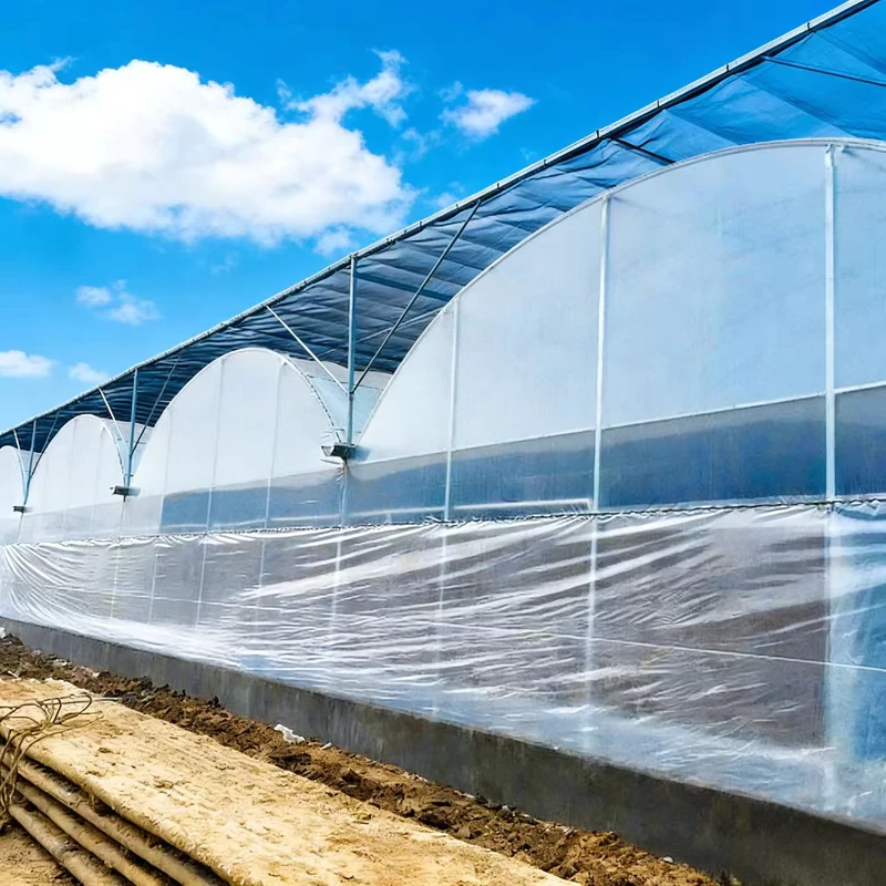 Factory Direct Sales Of Large scale Soilless Cultivation Greenhouses Equipped With Various Planting Systems