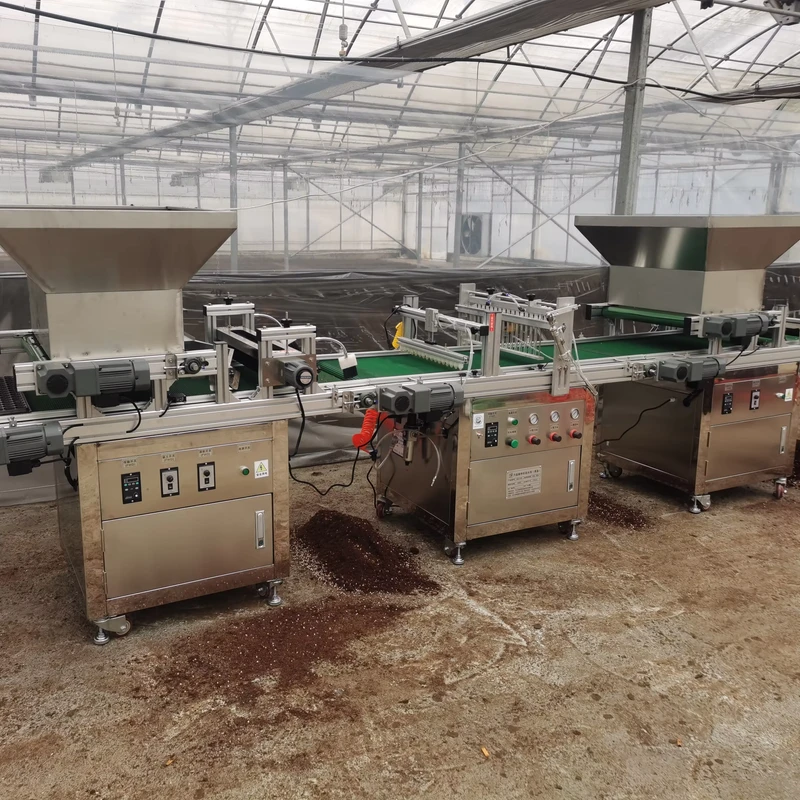 Fully Automatic Seedling Tray Machine Seeding Planting Machine Plug Seedling Machine