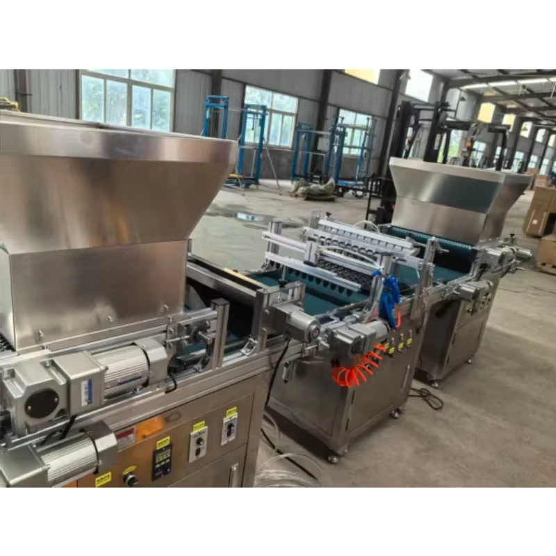 Fully Automatic Seedling Tray Seeder for Vegetable and Greenhouse Flowers Paddy Seed Nursery Sowing Machine