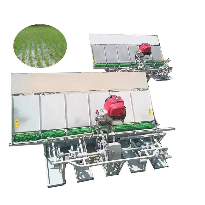 Gasoline 4 Rows 6 Rows Walking Rice Transplanter Rice Seedling Planter Rice Seedling Planting Machine