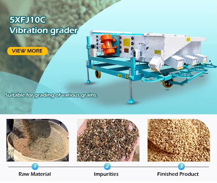 Grain Processing Equipment Coffee Bean Cleaning Screening Machine Grading Sorting Machine
