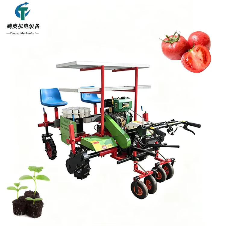 High Precision Self Propelled Diesel Vegetable Seedling Transplanter 2 Rows Pepper Chili Tomato Strawberry Transplanting Machine