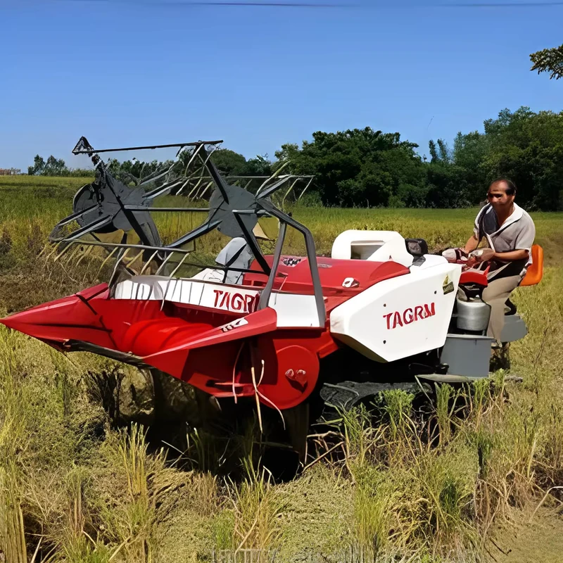 Agricultural Machinery Maize Harvesting Machine Small Harvest Machine Mini Pea Bean Soybean Wheat Rice Combine Harvester