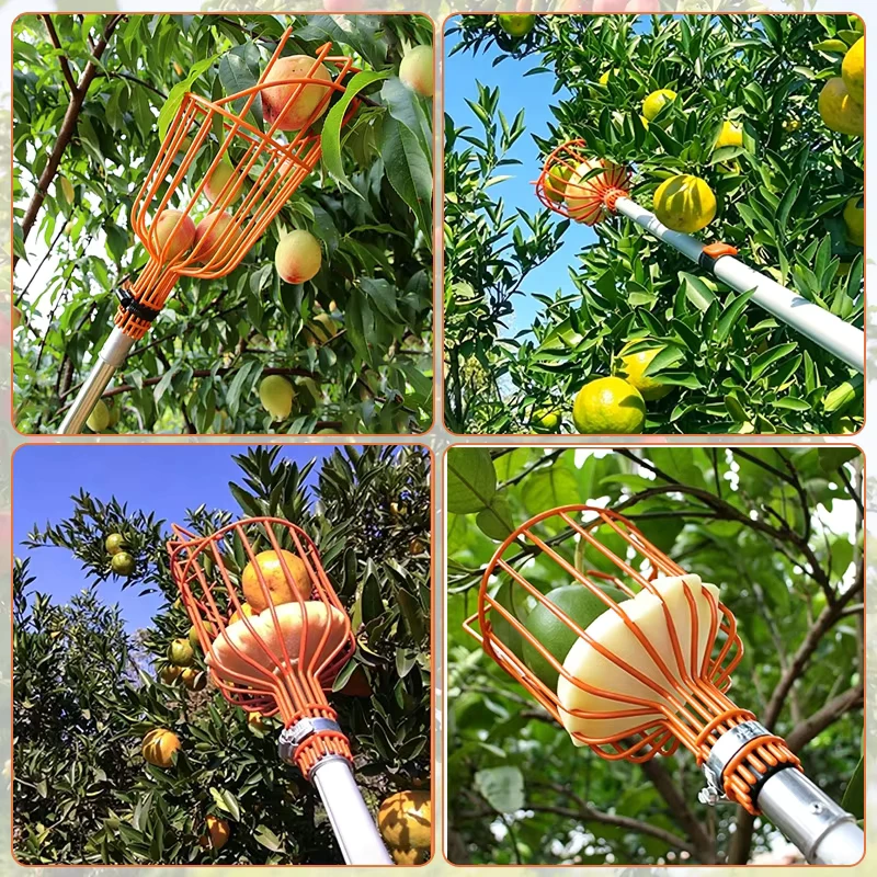 Industrial Grade High Reach Professional Adjustable Lightweight Metal Fruit Picker Pole Telescoping Manual Harvesting Tool For