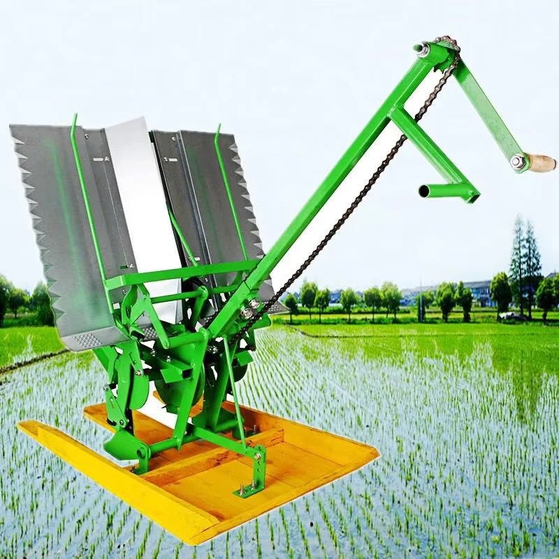 Manual Two Rows High Accuracy Rice Seedlings Transplanter with 250mm Row Spacing and 12 Month Warranty