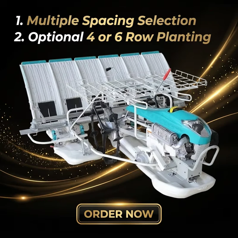 Mini Rice Transplant Model Walk Type Rice Planting Machine for Paddy