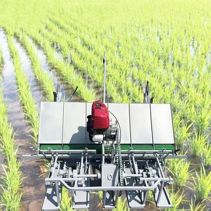 Factory Supply Walking Behind Rice Transplanter Agricultural Paddy Rice Seed Planting Transplanter for Sale