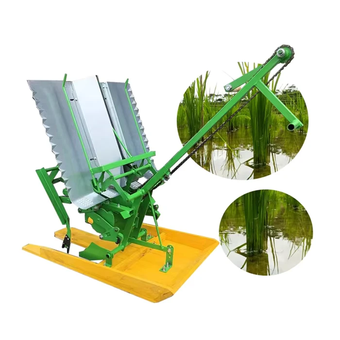 Paddy Rice Transplanter 2 Rows Planting Machine Manual Mini Rice Planter