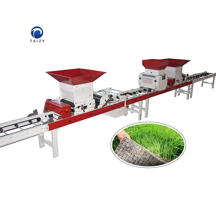 Paddy Seedling Seeder Machine Rice Seed Nursery Sowing Machine