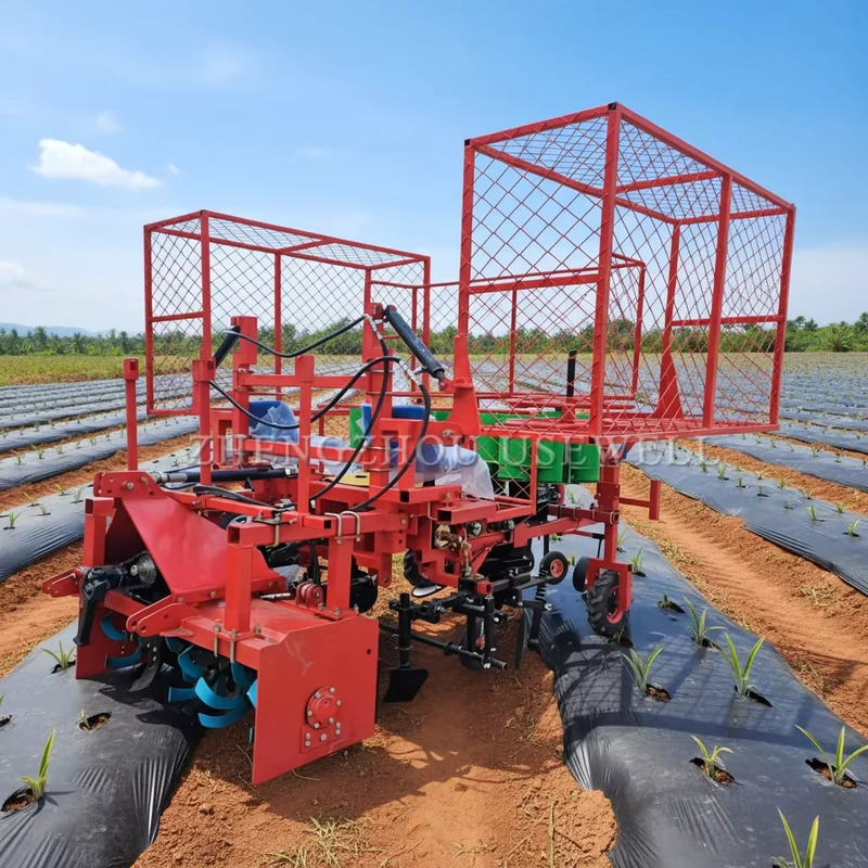 Pineapple Two Row Ridging Mulching Transplanting Fertilizing All in One Machine