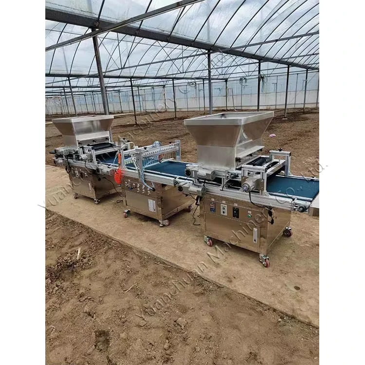 Plug Tray Seeder Pepper and Vegetable Plug Seedling Machine Flower Tray Seeder