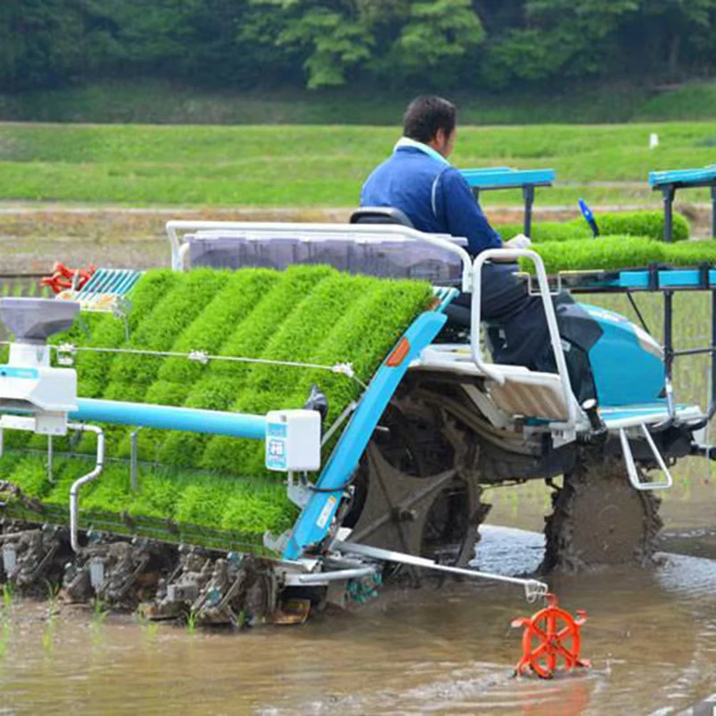 Rice Transplanter 6 Rows High Performance Machine for Efficient Rice Planting