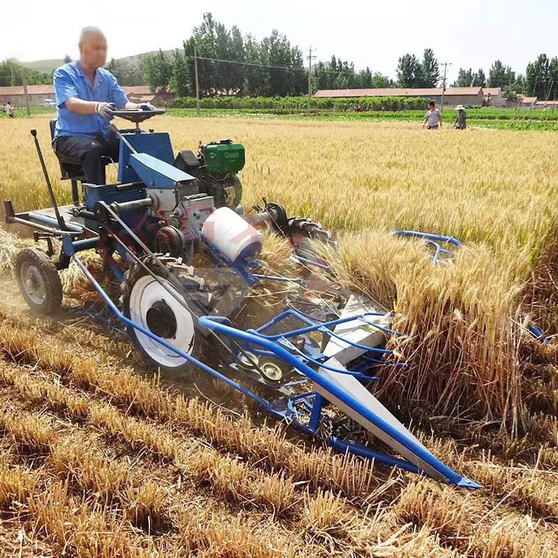 Tractor Mounted Wheat Rice Sesame Soybean Harvester Corn Straw Reed Cutting Agriculture BCS Reaper Binder Harvesting Machine