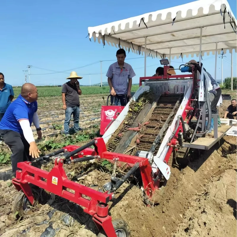 Tractor-tracted Sweet Potato Combine Harvester Garlic Carrots Harvester Potato Onion Combine Harvester