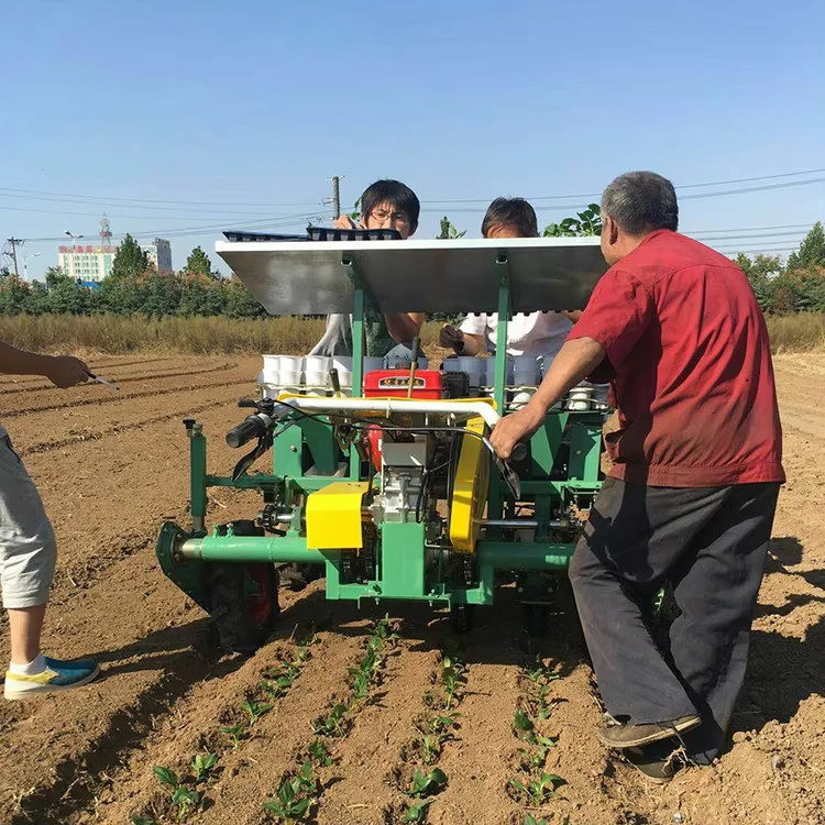 Vegetable Fruit Seedling Transplanter Pepper Seedlings Planting Machine