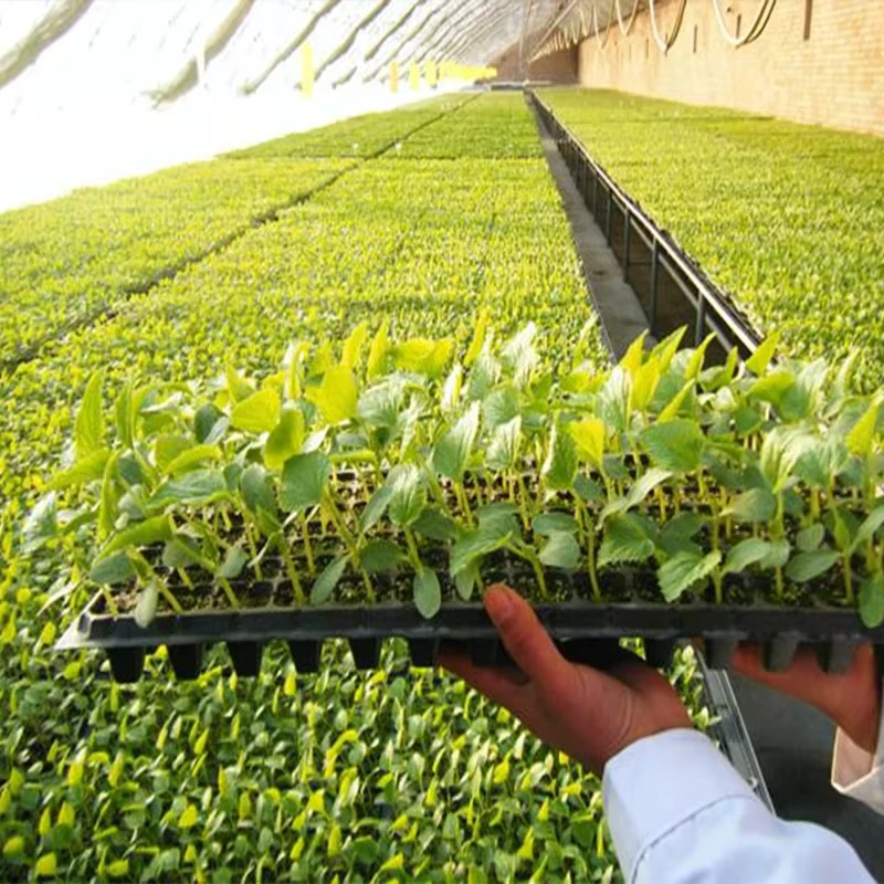 Vegetable Greenhouse Seed Plug Seeder Flower Grass Vegetable Seed Sprout Seedling Transplanter