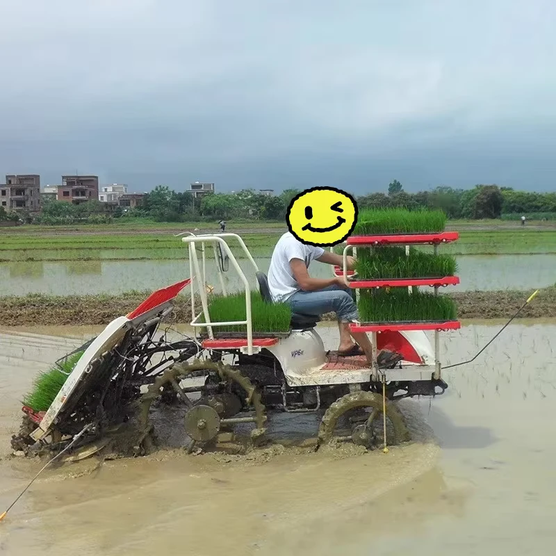 Walk Behind Fully Automatic Gasoline Powered Rice Transplanter a Precision Seedling Planting Tool